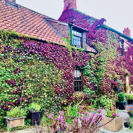 The Manor * Snainton